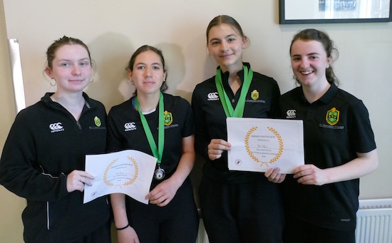 Young Classicists Gold. copy